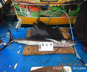LKA-I02-20251110-SFA002