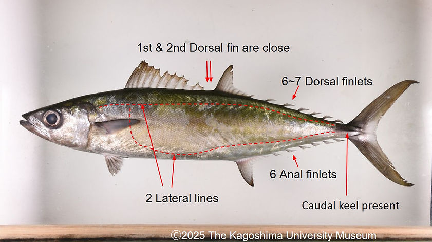 GRA_characteristics.jpg