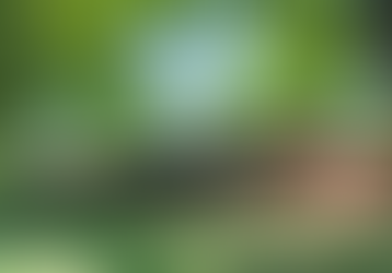 The Alder Grove public housing project as it exists today