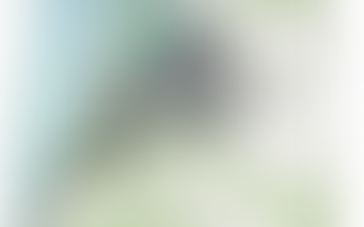 Cal Supremes Allow 3-House Project in Los Osos To Move Forward