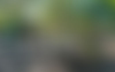 The Coming Battle Over Impact Fees