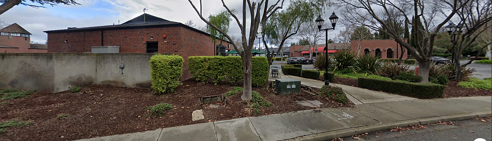 Squishy General Plan Language Has Consequences