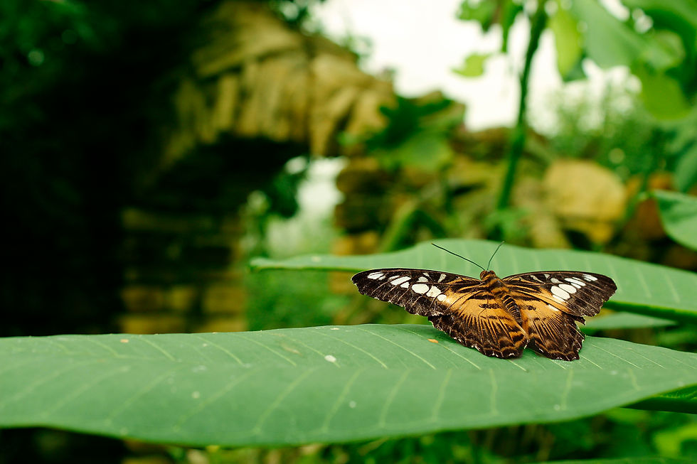 Thumbnail: Lustre Finish Colour Professional Print