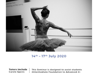 Vocational Seminar July 2020