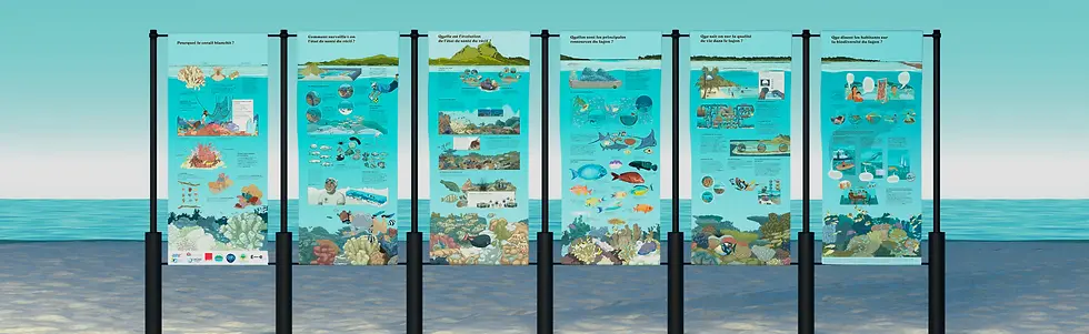 Panneaux de l’exposition Voix du lagon à Bora Bora présentant les recherches scientifiques sur les récifs coralliens et sensibilisant les habitants à la protection de ces écosystèmes marins fragiles. À travers six panneaux grand format, cette exposition mêle savoirs scientifiques et témoignages d’habitant·e·s pour raconter la complexité écologique du lagon. Une invitation à observer, comprendre et protéger cet écosystème marin unique.
Modellisation des 6 panneaux.