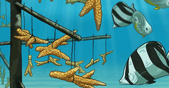 Série d’illustrations scientifiques ‘L’Océan mot à mot’ présentant des strips didactiques issus de l’Inktober 2025, où chaque mot devient une narration visuelle basée sur des données biologiques sourcées sur l’océan. Le mot est Cerf, et cette case illustre le bouturage et la culture du corail Corne de cerf.