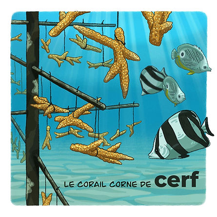 5.Cerf-L'Océan-mot-a-mot-©️Yun-Faillard (1).jpg