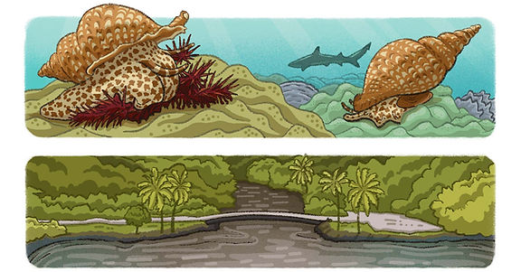 Série d’illustrations scientifiques ‘L’Océan mot à mot’ présentant des strips didactiques issus de l’Inktober 2025, où chaque mot devient une narration visuelle basée sur des données biologiques sourcées sur l’océan. Le mot est couronne, et cette case illustre la prédation de Acanthaster, une étoile de mer dévoreuse de récifs.