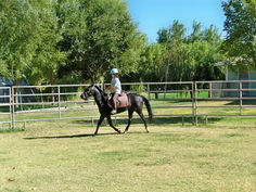 Ruport Properties Daughter riding Jewel