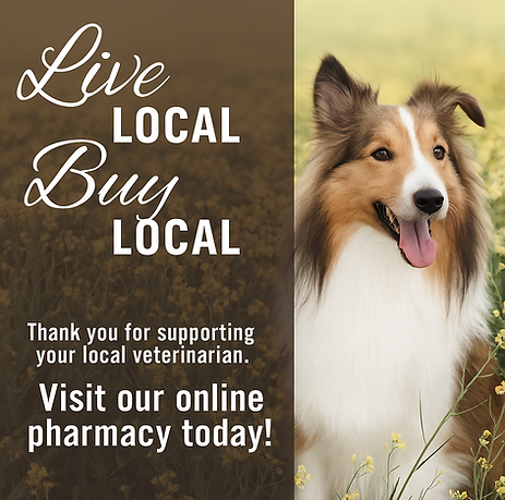 Buy Local Shop Local Online Pharmacy to purchase online pet medications home delivery, order online, pet food online, online pet preventatives, online petmeds, free delivery on pet medications, pet meds in okc delivered. Support your local veterinarian