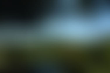 Pioenrozen tuin "centro Botanico Moutan"