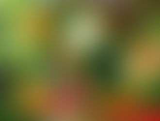 Khasiat dan Manfaat Sayuran Bagi Kesehatan