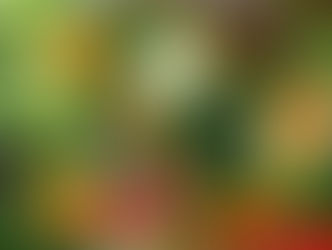 Khasiat dan Manfaat Sayuran Bagi Kesehatan