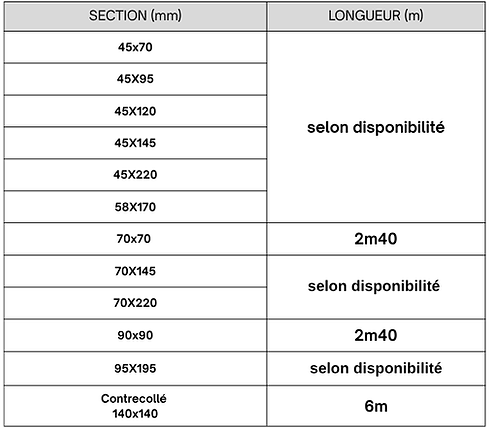 Section (mm) (40).png