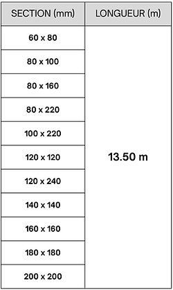 Section (mm) (13).png