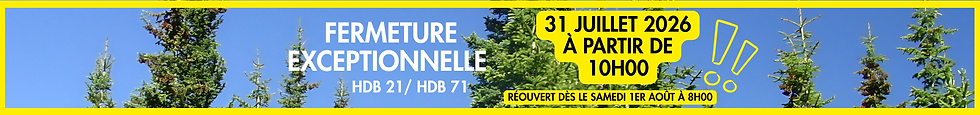 Bienvenue (50 x 4 cm) (45 x 7 cm) (60 x 7 cm) (5).png