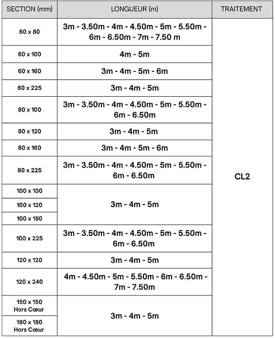 Section (mm) (21).png