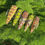 Miniatura: Snakes In The Grass