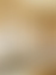 筵席:美食與記憶的交織