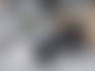 樺木夾板辦公空間設計
