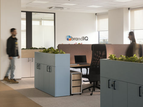 BrandIQ Offices – Sofia