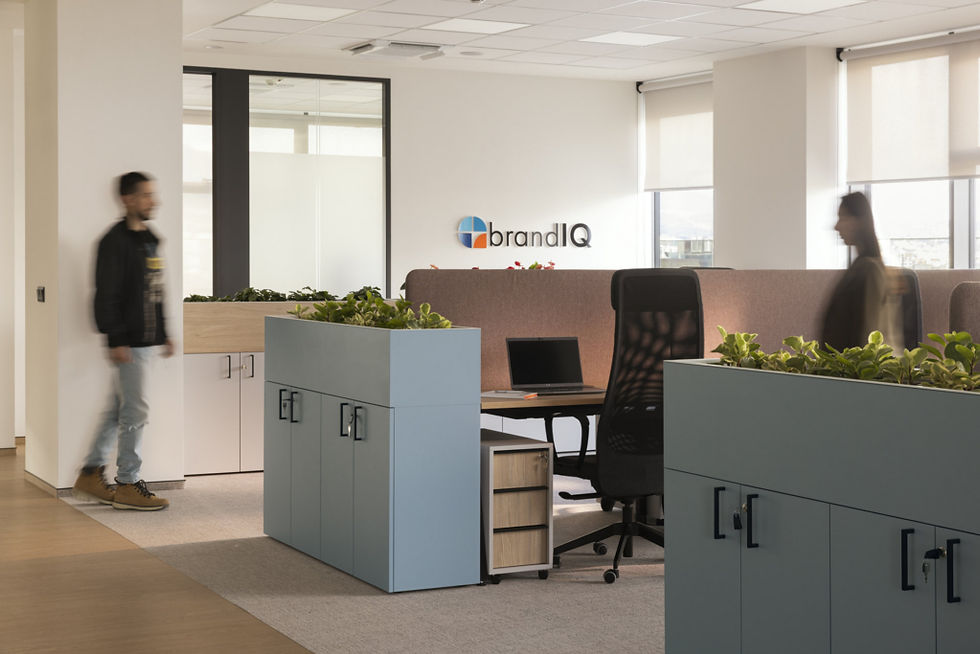 BrandIQ Offices – Sofia