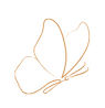 Botanical banner (6)_edited.jpg