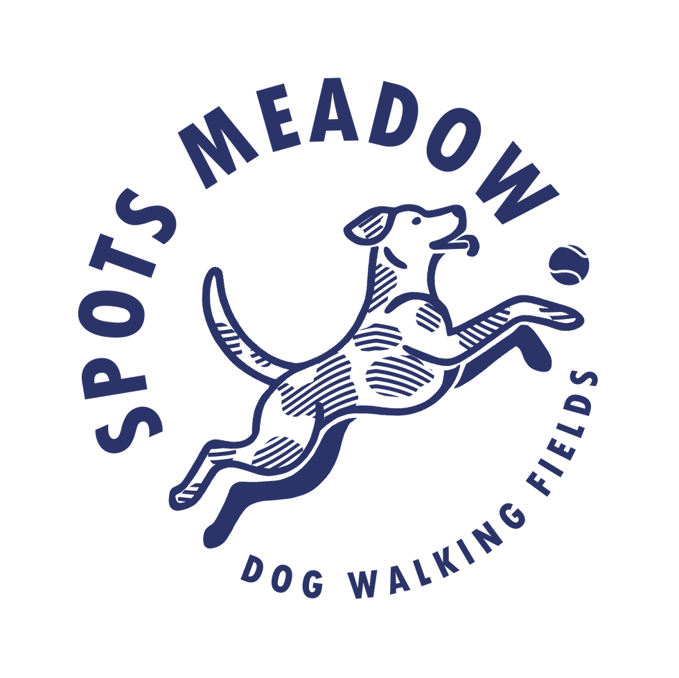 spots medow logo final blue.png