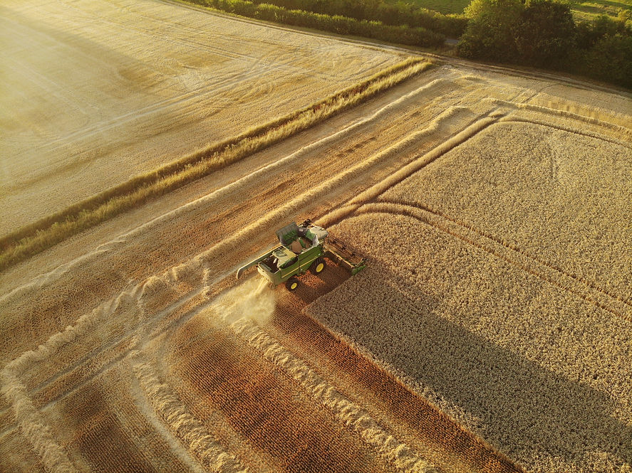 DJI_0471.JPG