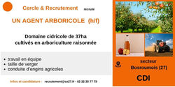 CDI - Agent arboricole - 27