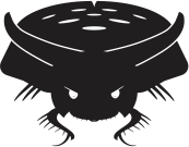 taurus beetle.gif