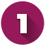 number_1_icon (1).png