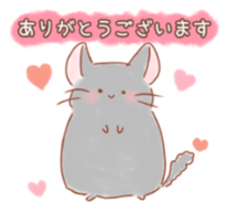 チンチラのもちゃ