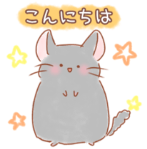 チンチラのもちゃ