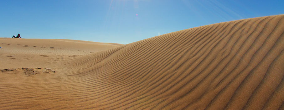 Dunas en la Laguna Madre Delta