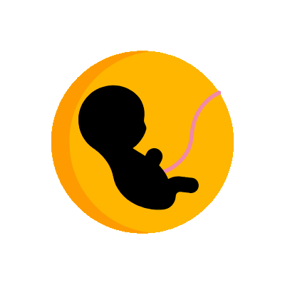 Infant & Baby care equipment suppliers in Dubai UAE
