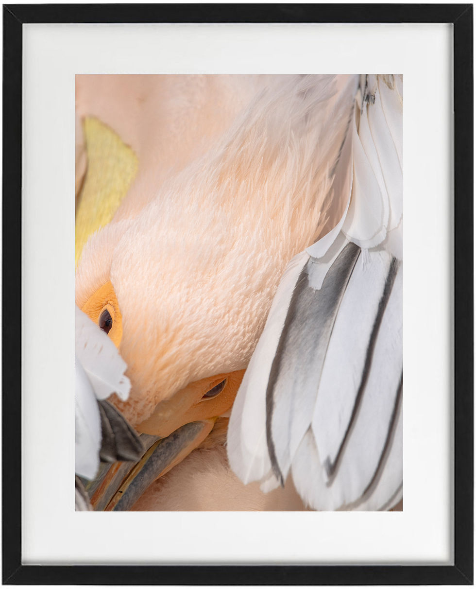 Trying to reach that itch