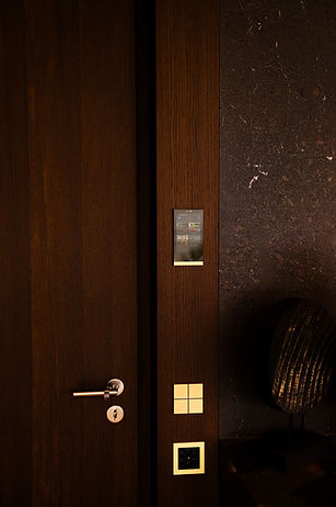 Dunkle Holztür mit Türgriff und goldenen Bedienelementen, Produktfotografie mit gezieltem Licht
