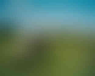 nadjafuchs.ch-264-kanada