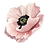 Pink Poppy showing care and compassion