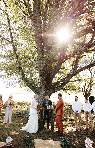 Wedding Advice.jpg