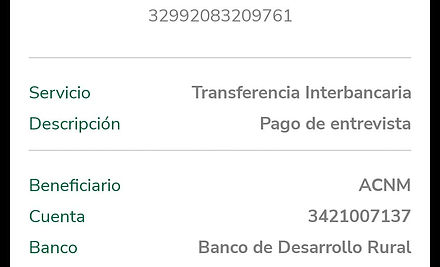 Ejemplo Boleta.jpg