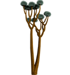 QuiverTree_v01 (1).png