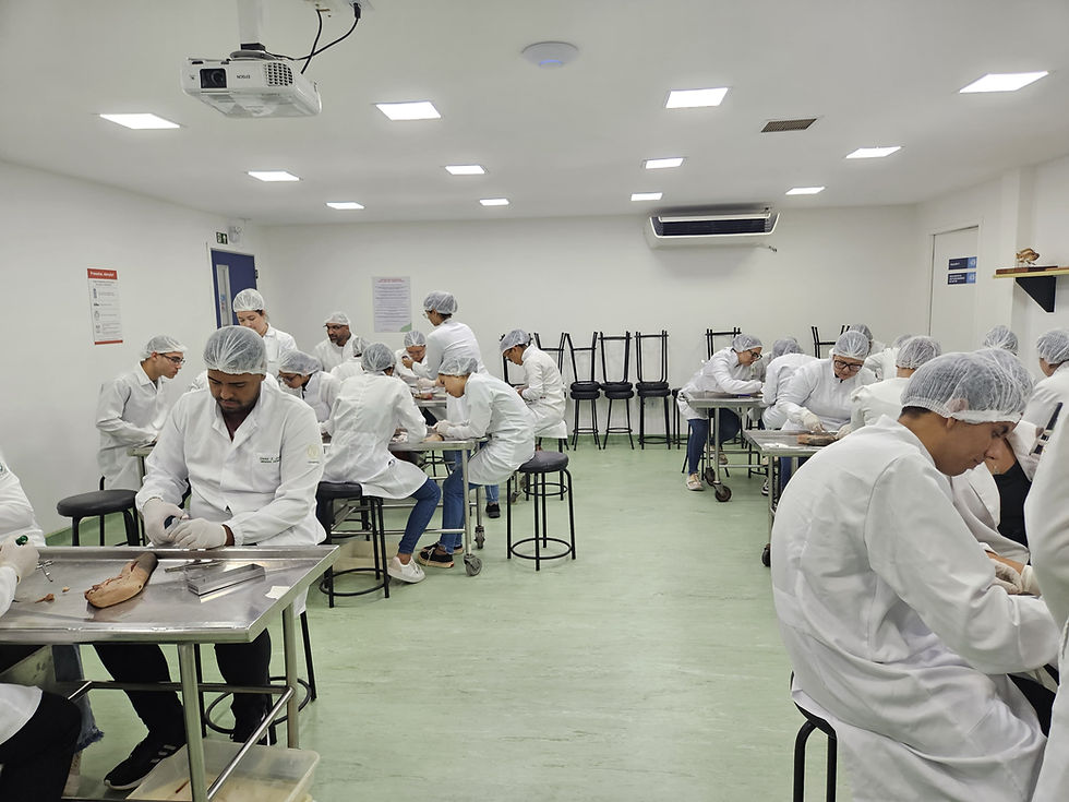 WhatsApp Image 2025-03-20 at 20.44.30.jpeg