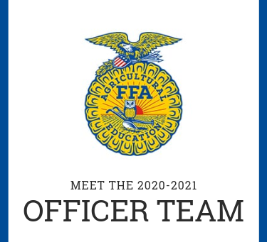 Welcome to the NEW Section 8 Website!