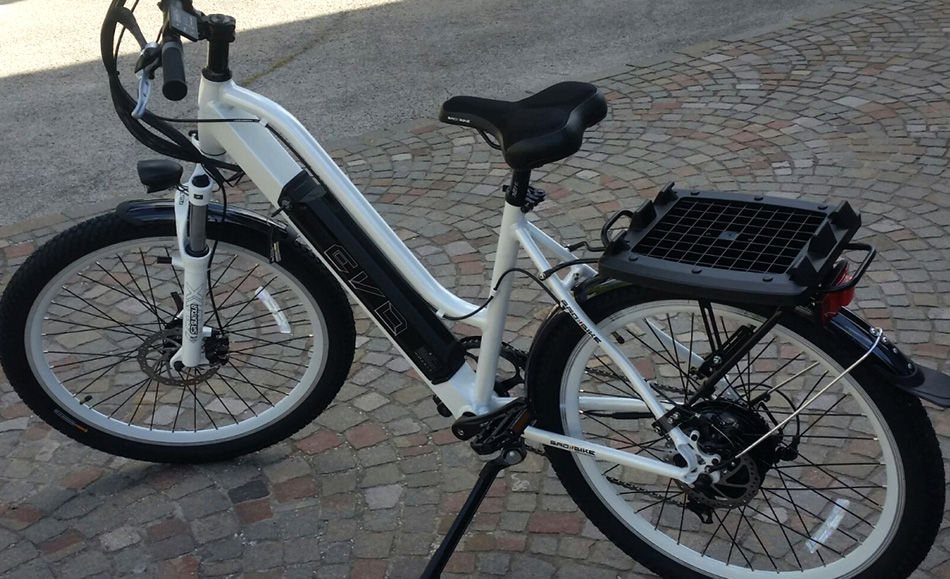 006_BICI