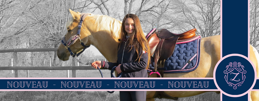 Agenda Les Poneys De Zoé 2022 2023