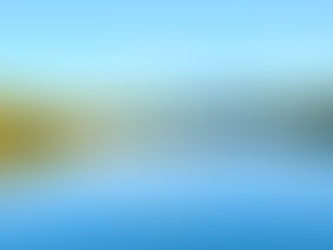 11月28日(日曜日)公渕公園