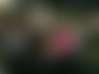 Miklavževanje na Gornji Ponikvi