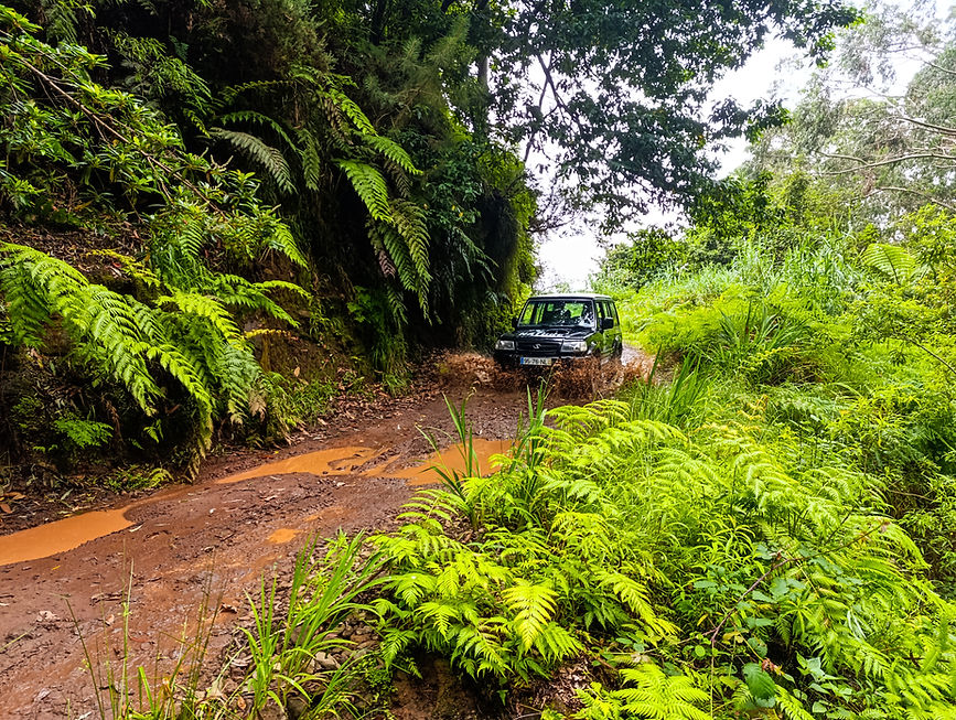 Web 3gergwfwe (1 of 1).jpg